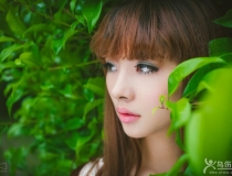 ˸