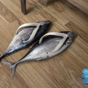 ҪŸҴNЬ
