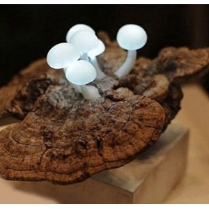 `ԴڴȻ (chung)O(sh)Ӌ(j)eĲ