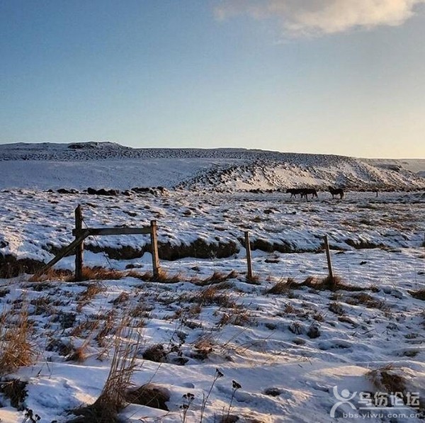 Fluðir Iceland