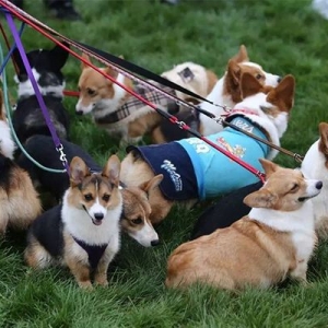 �з�����������B(y��ng)ȮҪ����Ҏ(gu��)�؁���